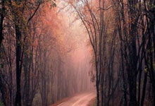 开云体育-当德甲霸主遇上紫金王朝：曼城“登顶湖人”背后的体育资本迷局