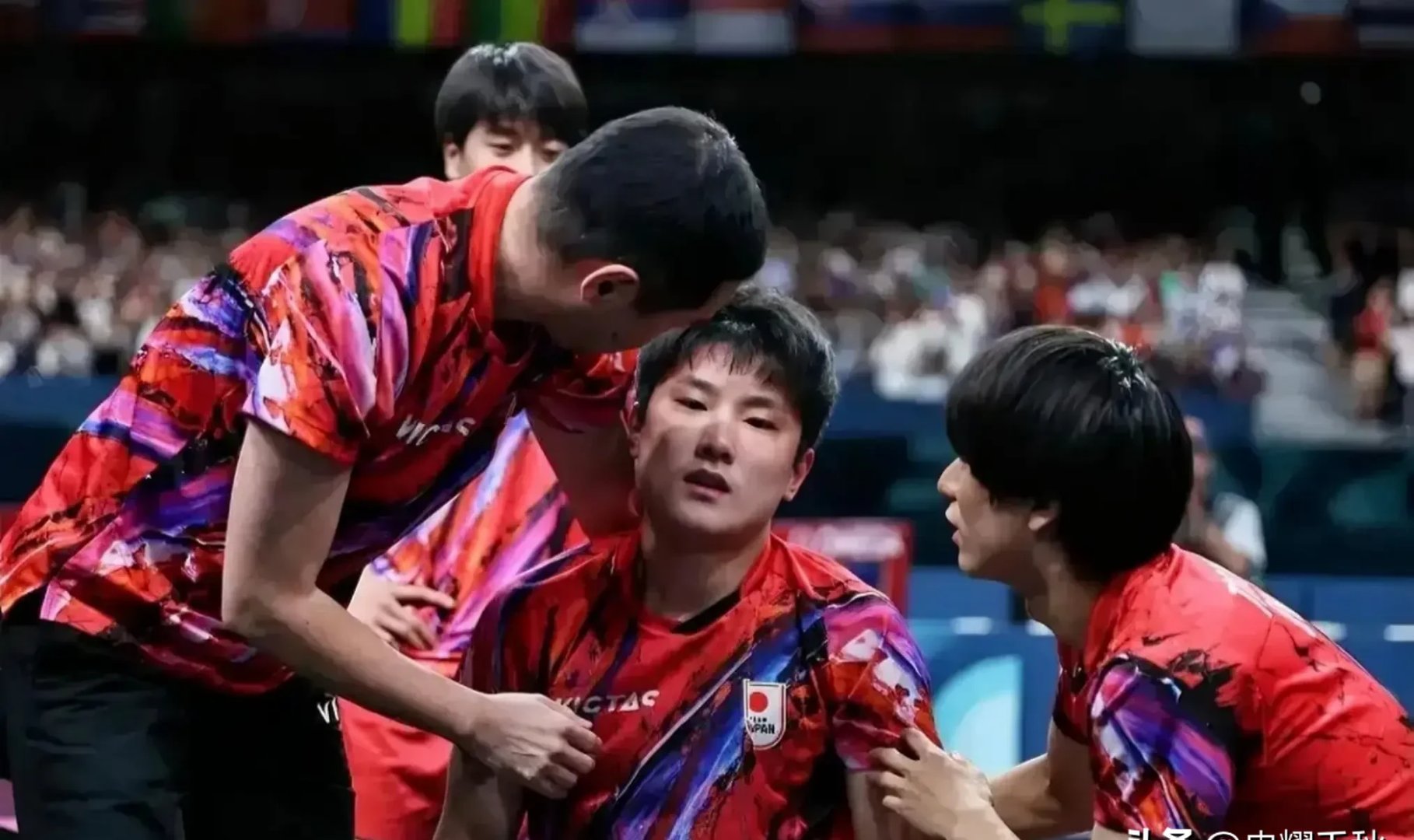 开云体育app-英国乒乓球队鏖战波兰乒乓球队，樊振东送出助攻