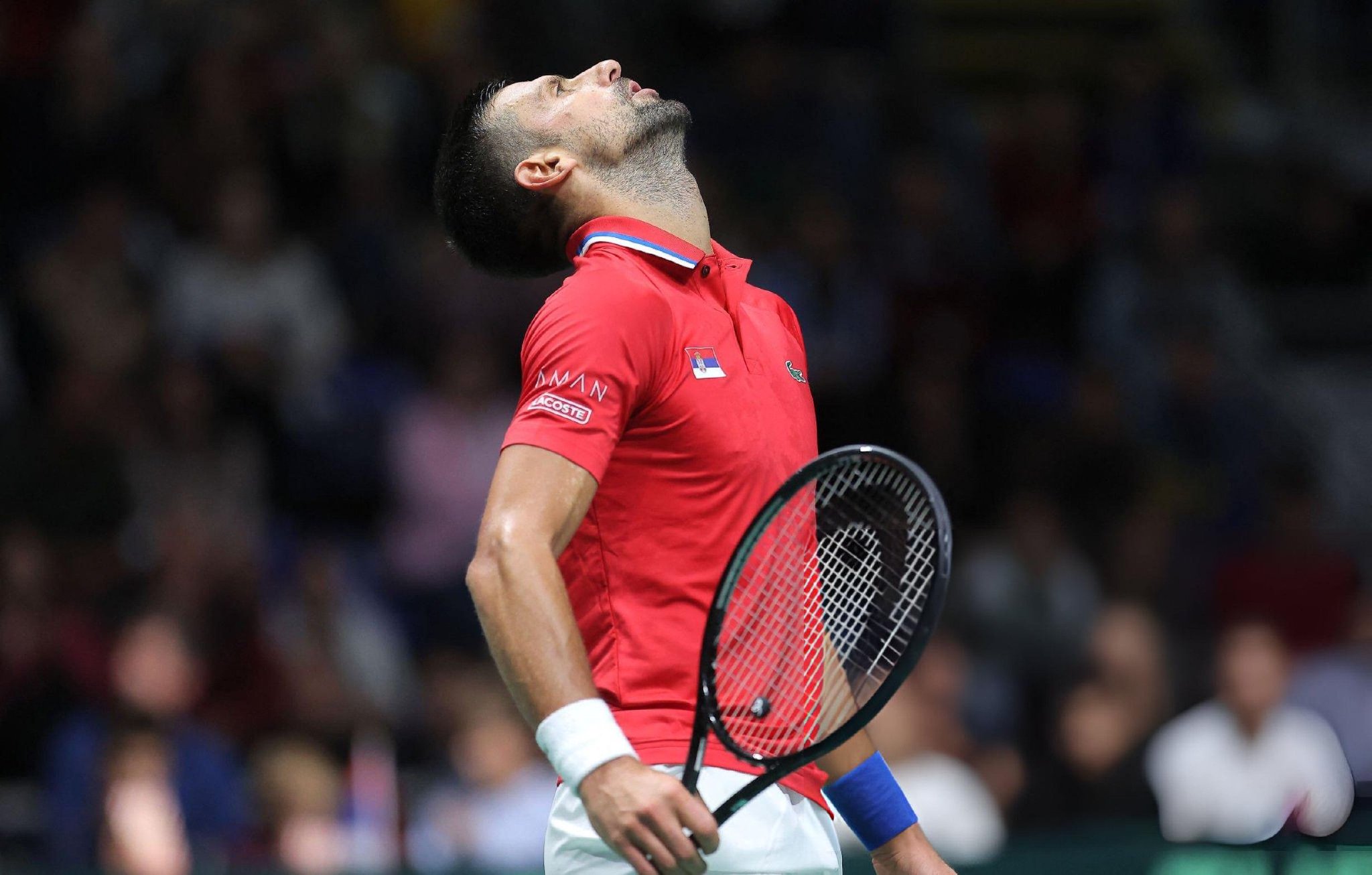 开云体育平台APP-年终总决赛险胜戴维斯杯，德约科维奇关键制胜