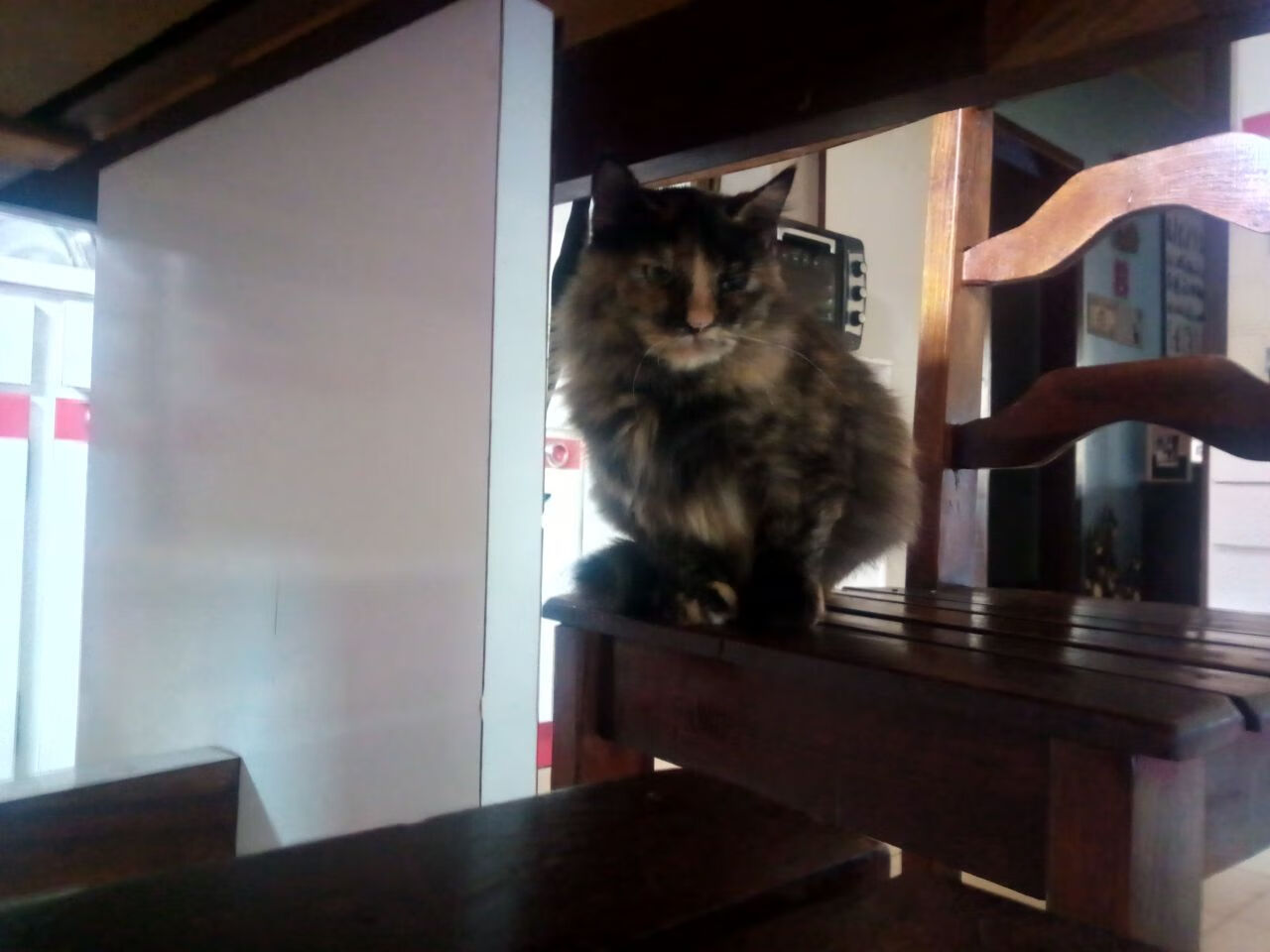 逆转与刷新,篮球世界的两极,却藏着一把钥匙