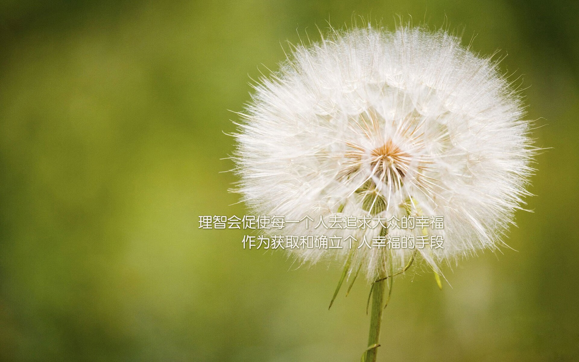 铁血超越，勒克莱尔赛道意志击碎雷诺铁幕