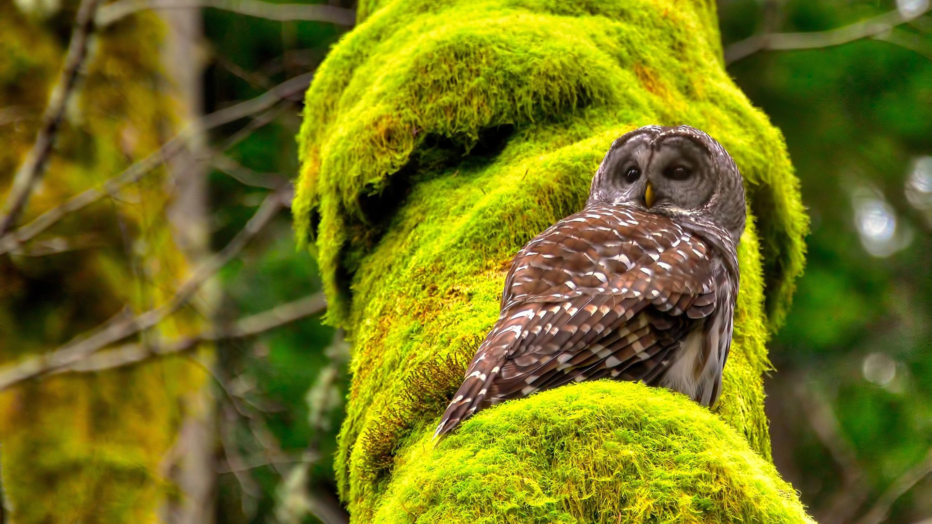 深渊边缘的光，当最后时刻成为英雄的专属画布
