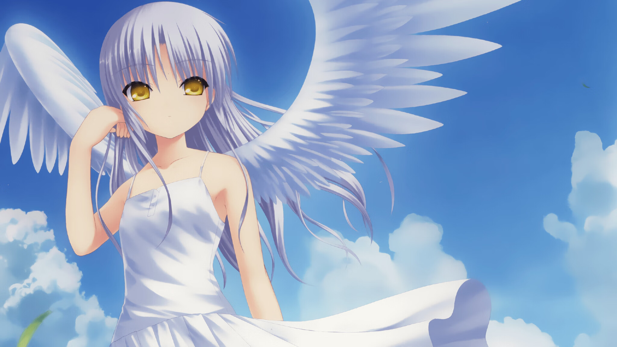 绿茵审判日，拜仁多特宿命对决，荷兰旋风席卷雷恩