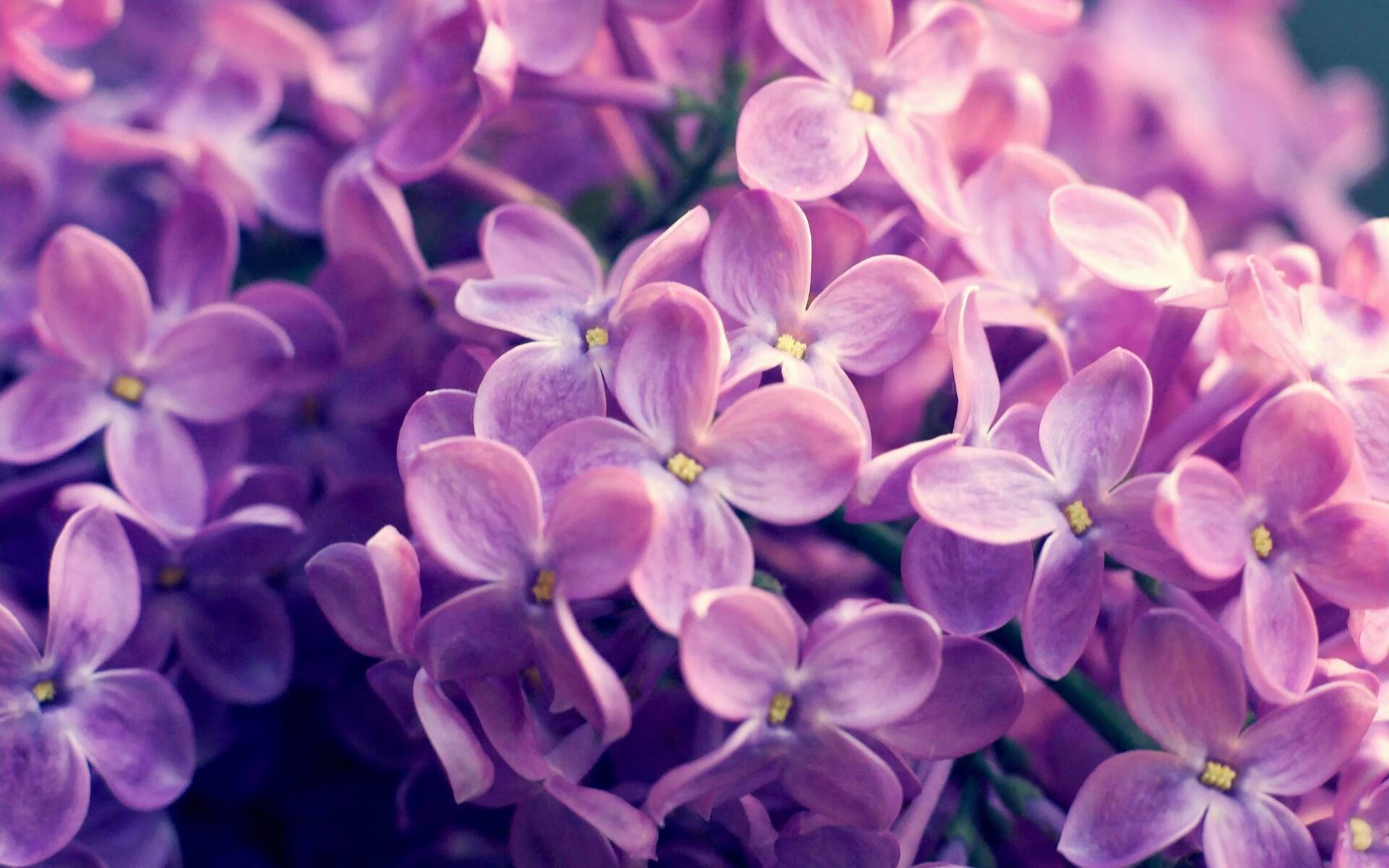 开云体育-蒂亚戈的指挥棒下，皇家社会与芬兰演绎足球世界的不对称赋格