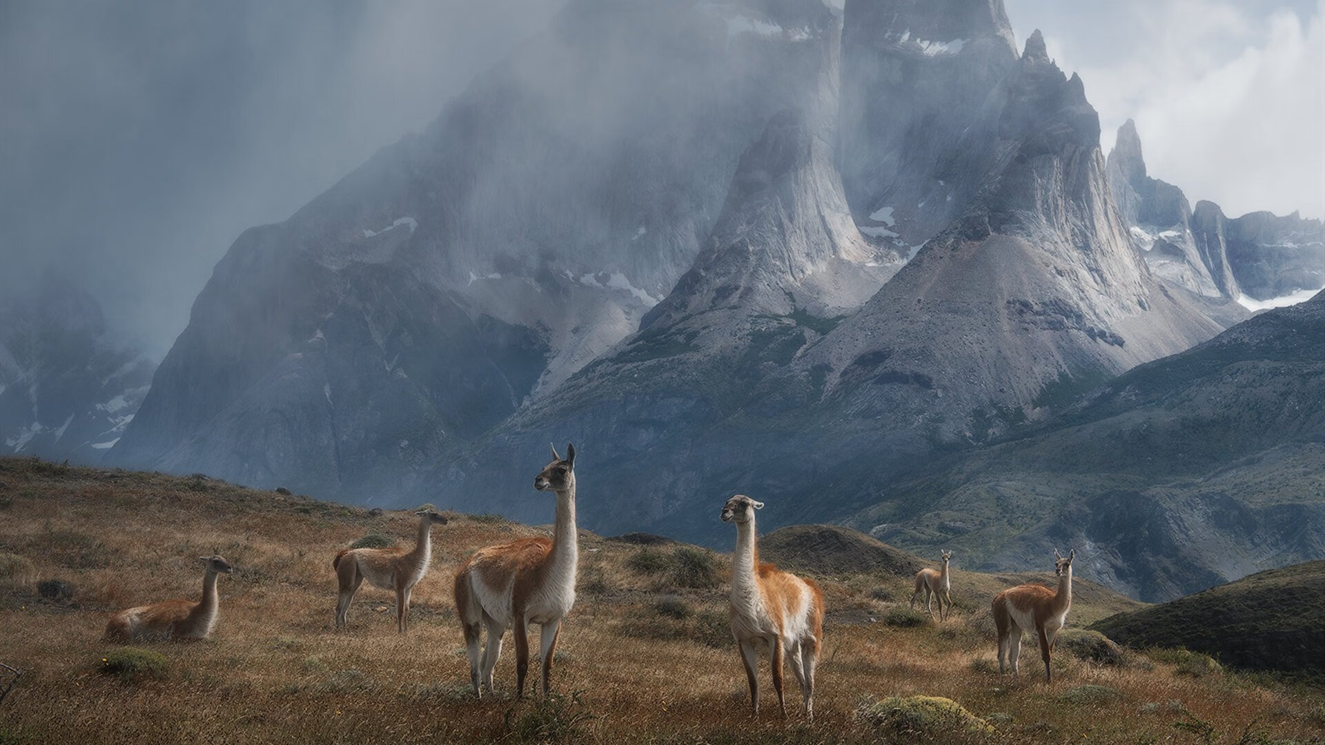 开云体育APP下载-冰火两极的终章，塔图姆一手掌控的比赛走势