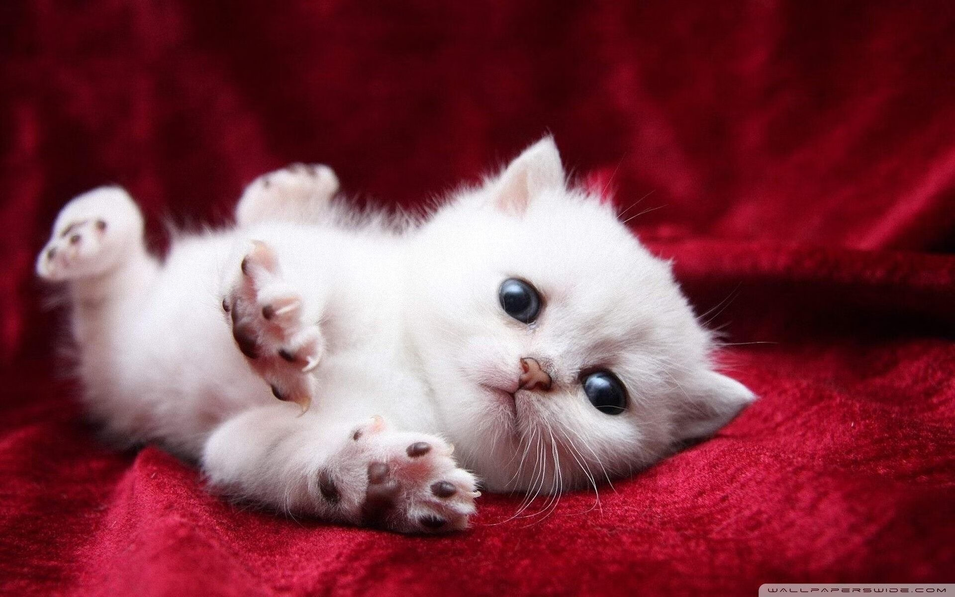 钢铁之翼,杜兰特无声的咆哮