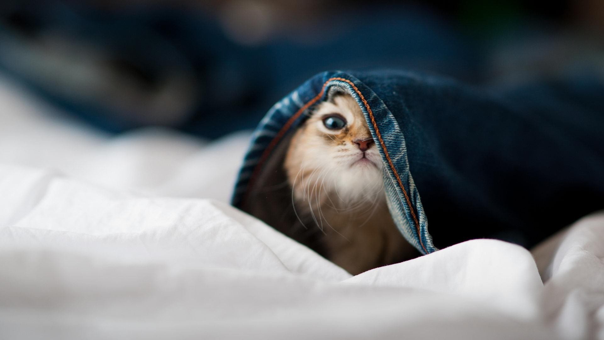 封锁的深意，维尼修斯如何刺穿毕尔巴鄂与塞内加尔的铁壁